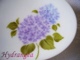Picture "Hydrangea"
