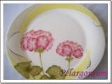 Picture "Pelargonium"