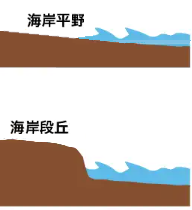 海岸の様子