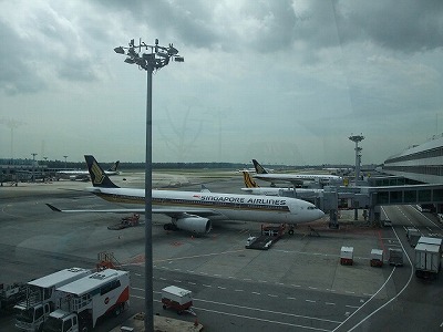 Sightseeing - Singapore airport (Singapore)