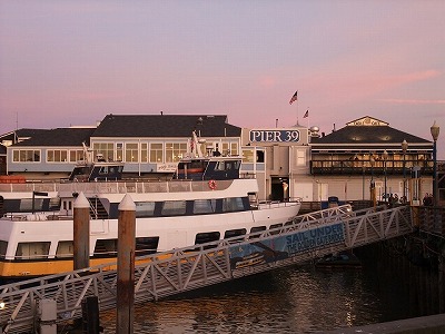 sightseeing - San Francisco (California, USA) - Pier 39