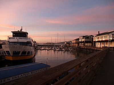 sightseeing - San Francisco (California, USA) - Pier 39