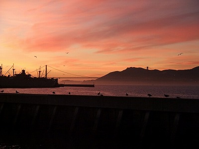 sightseeing - San Francisco (California, USA) - Pier 39