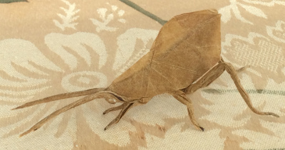 leaf katydid　Brian Chan 原作