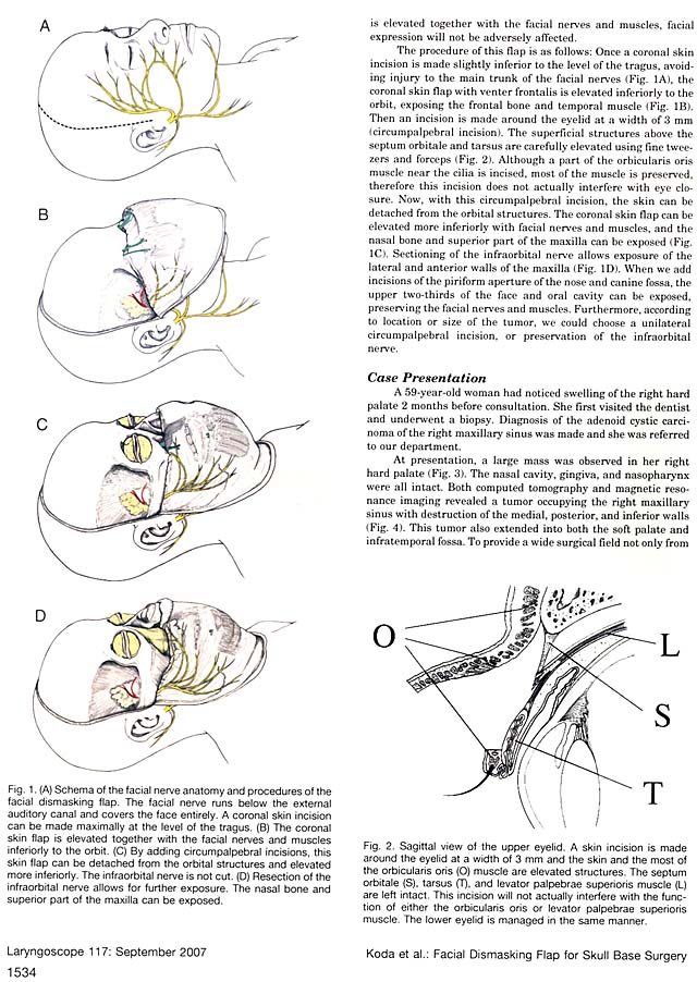 Anatomy0052